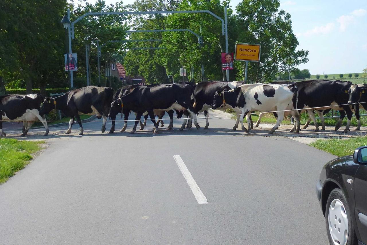Ferienhof Van Vlyten_ 45006 Jemgum Eksteriør billede